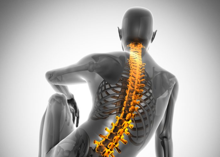 Spine and Joints Clinic